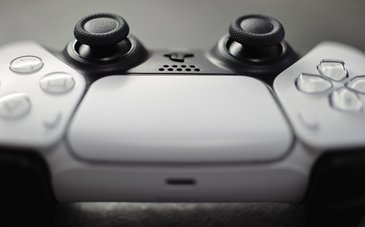 東京ゲームショウには毎年、最新のゲームを求めて世界中から数多くの来場者が訪れる。
